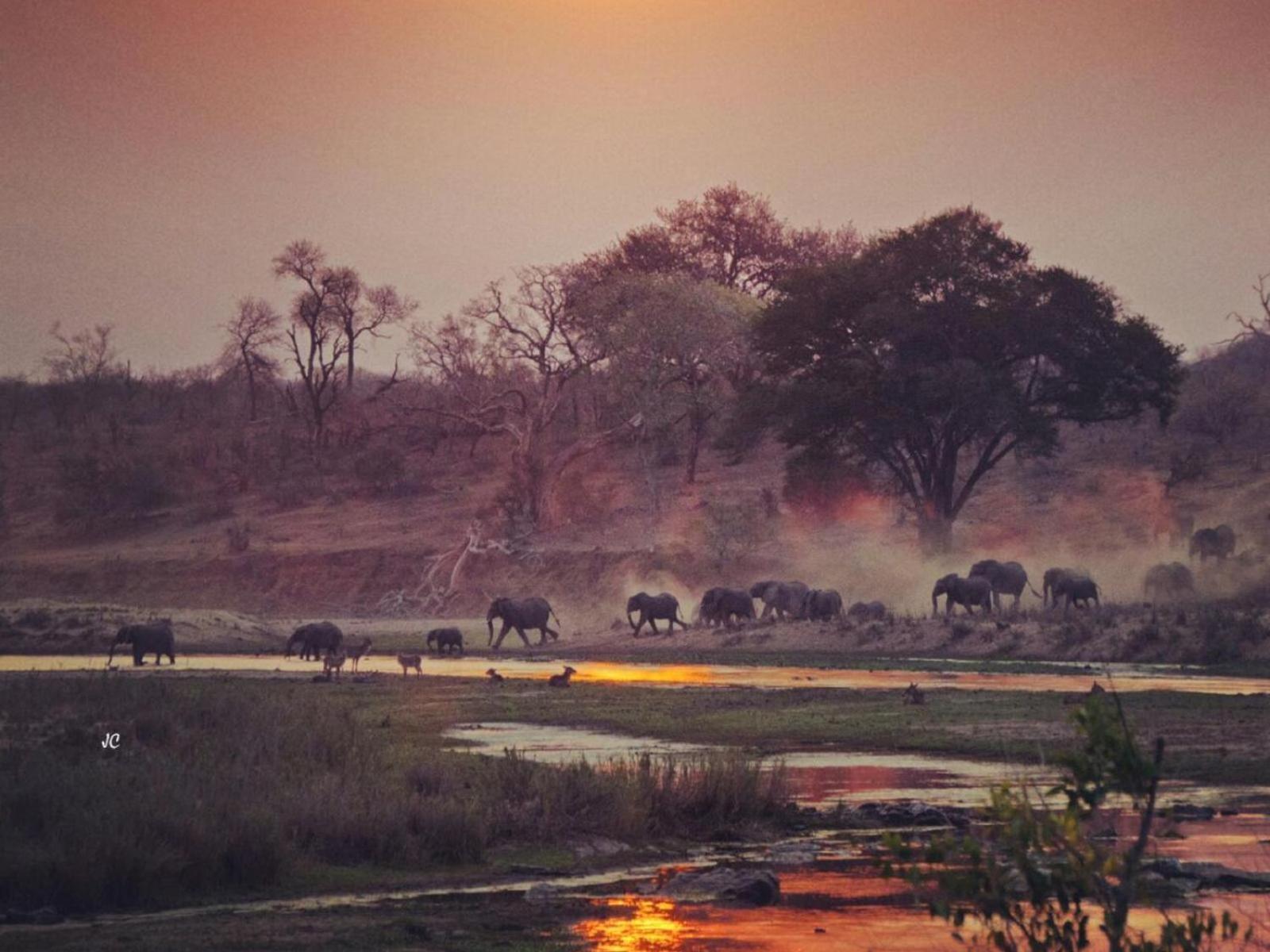 Croc Orvyll'S Kruger Lodge Марлот Парк Екстериор снимка