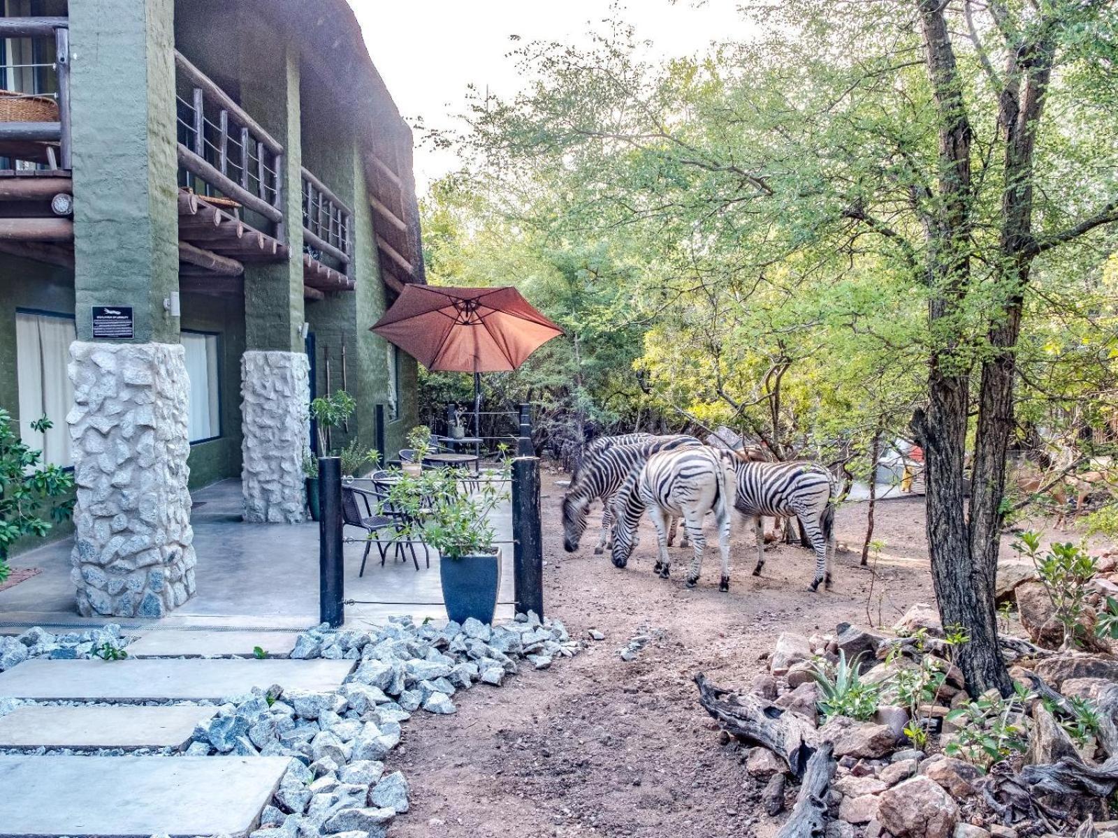Croc Orvyll'S Kruger Lodge Марлот Парк Екстериор снимка